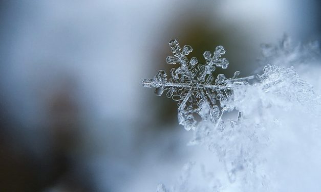 Messer a mis au point un nouveau système de contrôle de congélation